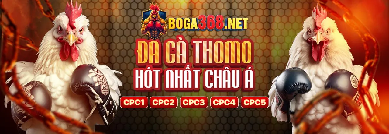 Ứng dụng 365ball trên điện thoại di động với giao diện cá cược thể thao